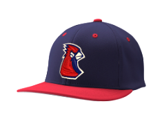 Player Hats for Parents and Coaches