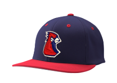 Player Issued Uniform Hats