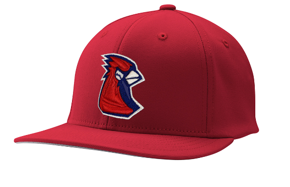 Player Issued Uniform Hats