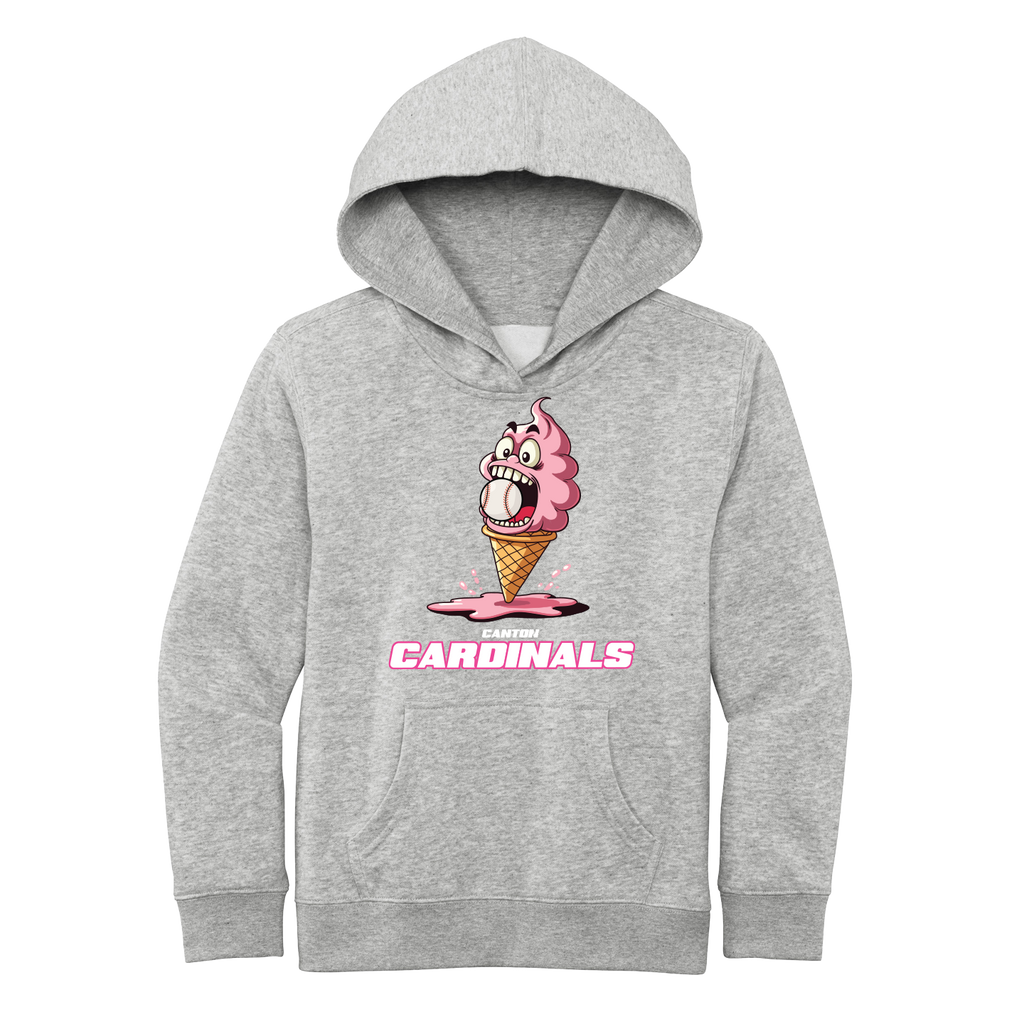 NEW District Youth V.I.T Fleece Hoodie (Ice Cream Cone)