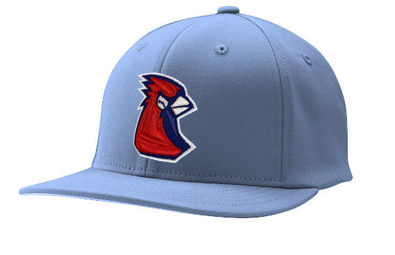 Player Issued Uniform Hats