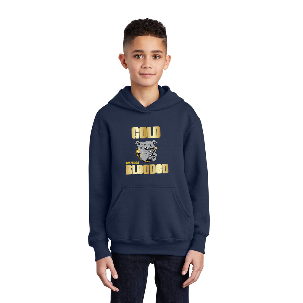 YOUTH GOLD BLOODED HOODIE